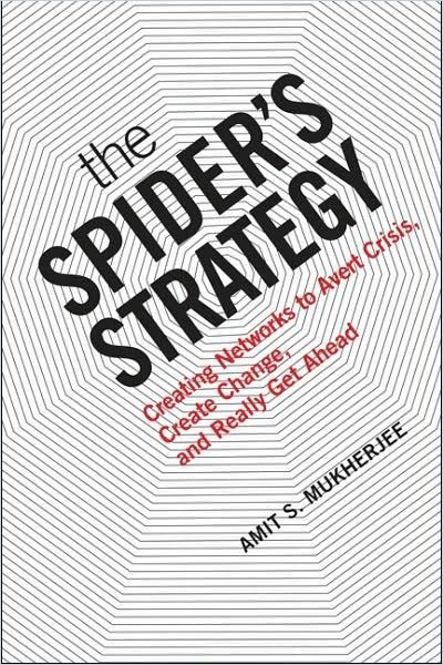 The Spider’s Strategy Book Cover