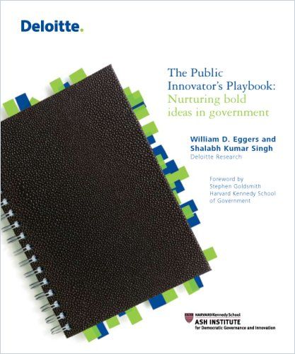 The Public Innovator’s Playbook Book Cover