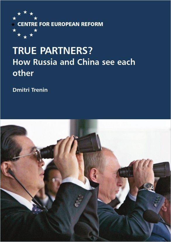 True Partners? Book Cover