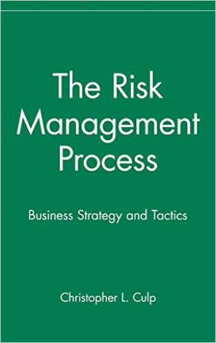 The Risk Management Process Book Cover