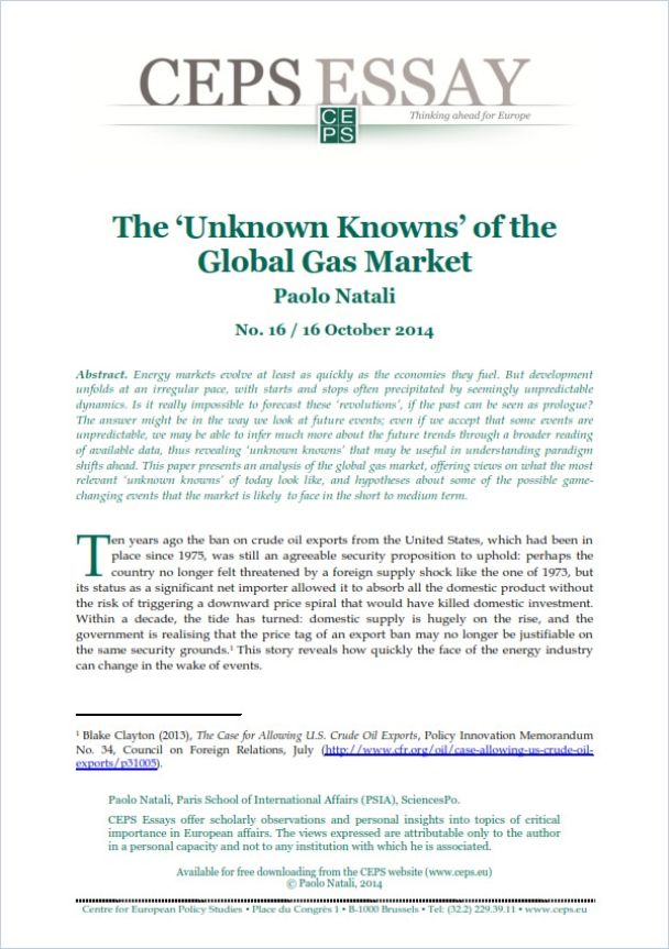 The ‘Unknown Knowns’ of the Global Gas Market Book Cover