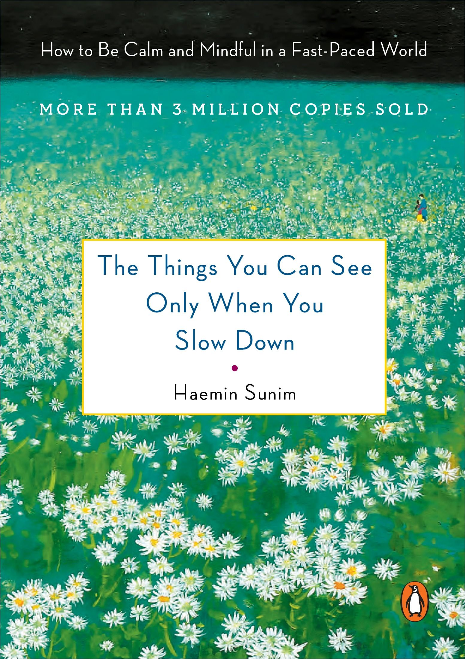 The Things You Can See Only When You Slow Down Book Cover
