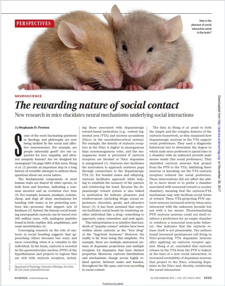 The Rewarding Nature of Social Contact Book Cover