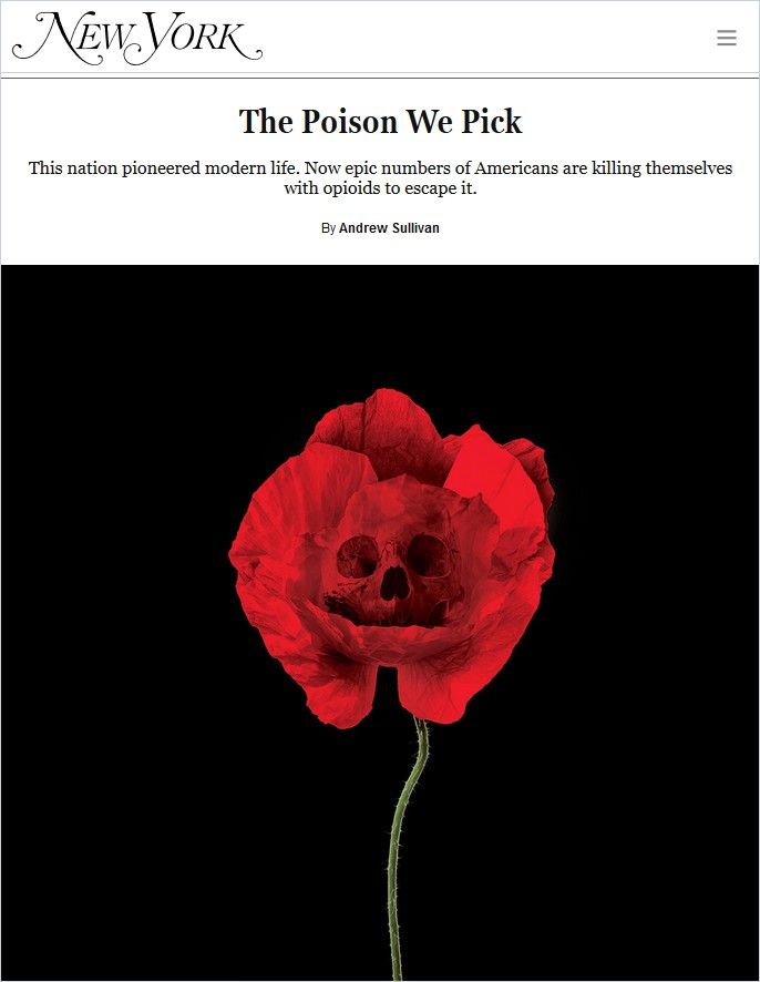 The Poison We Pick Book Cover