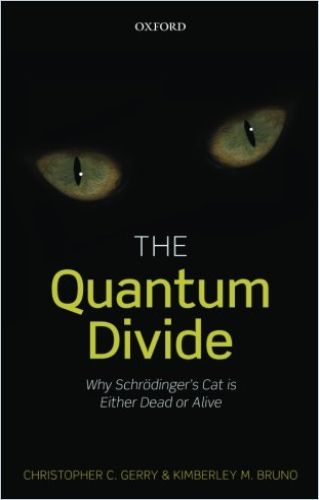 The Quantum Divide Book Cover
