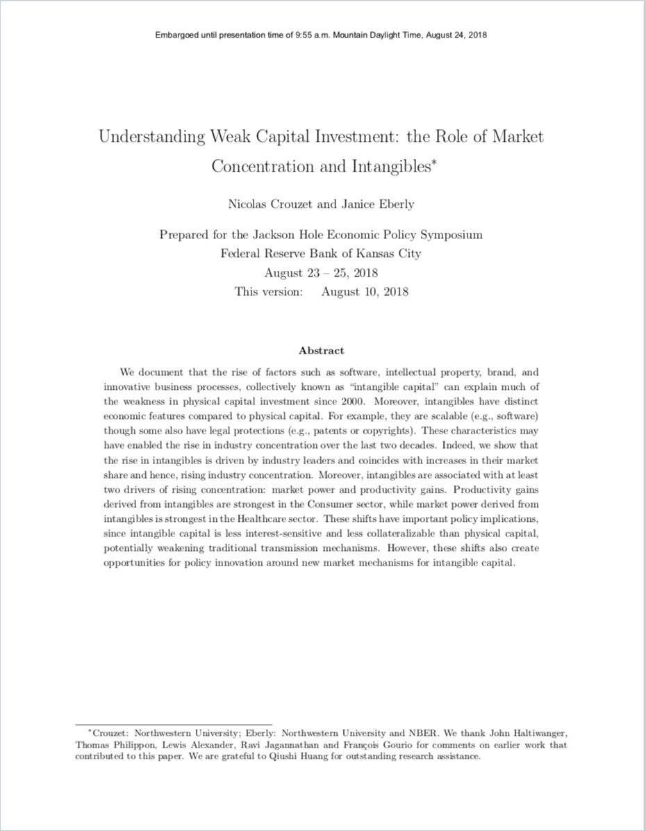 Understanding Weak Capital Investment Book Cover