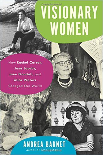 Visionary Women Book Cover
