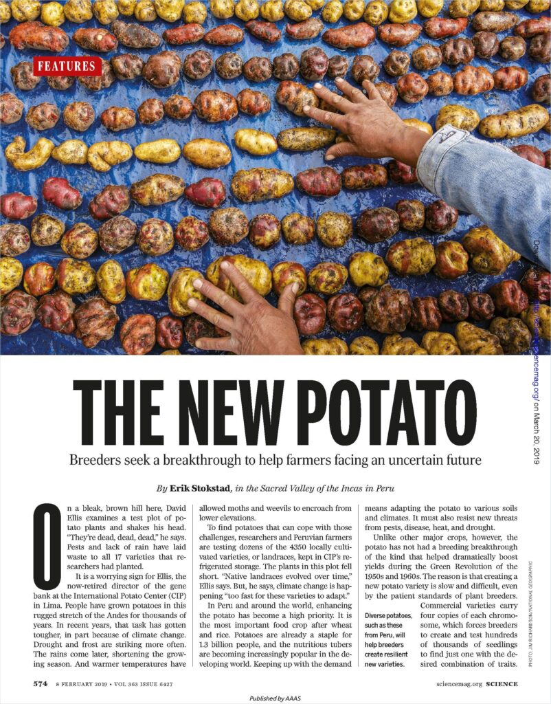 The New Potato by Erik Stokstad Book Summary- Wizdomapp