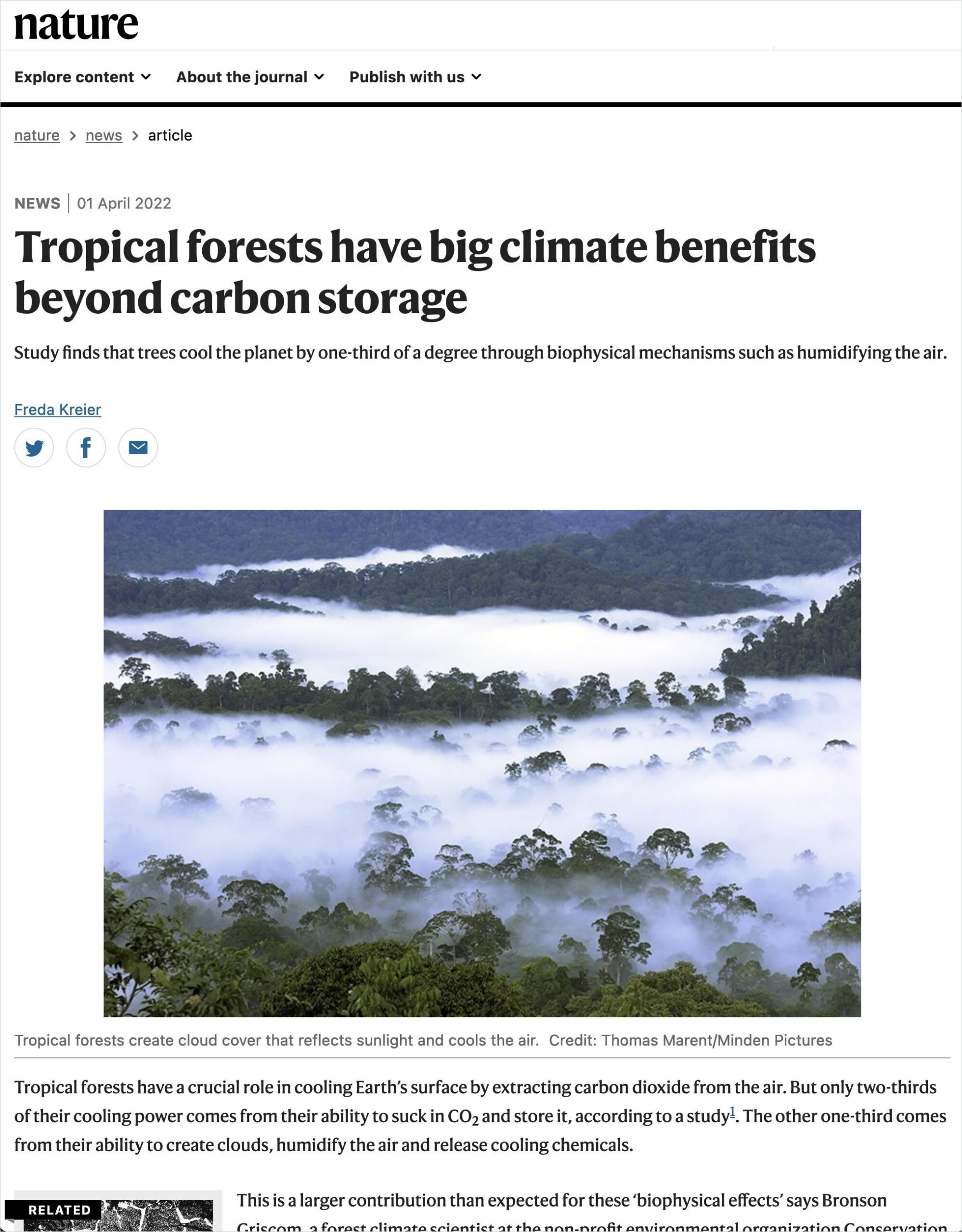 Tropical Forests Have Big Climate Benefits Beyond Carbon Storage Book Cover