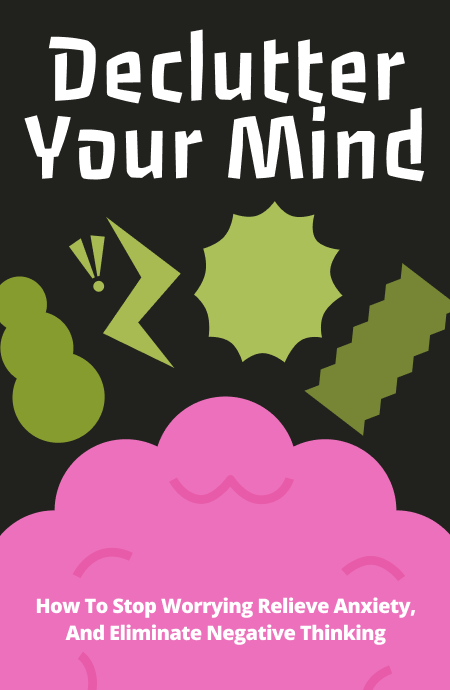 Declutter Your Mind Book Cover