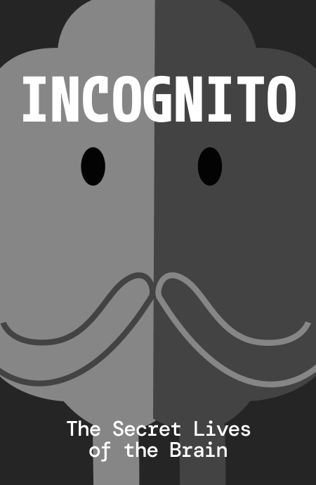 Incognito Book Cover