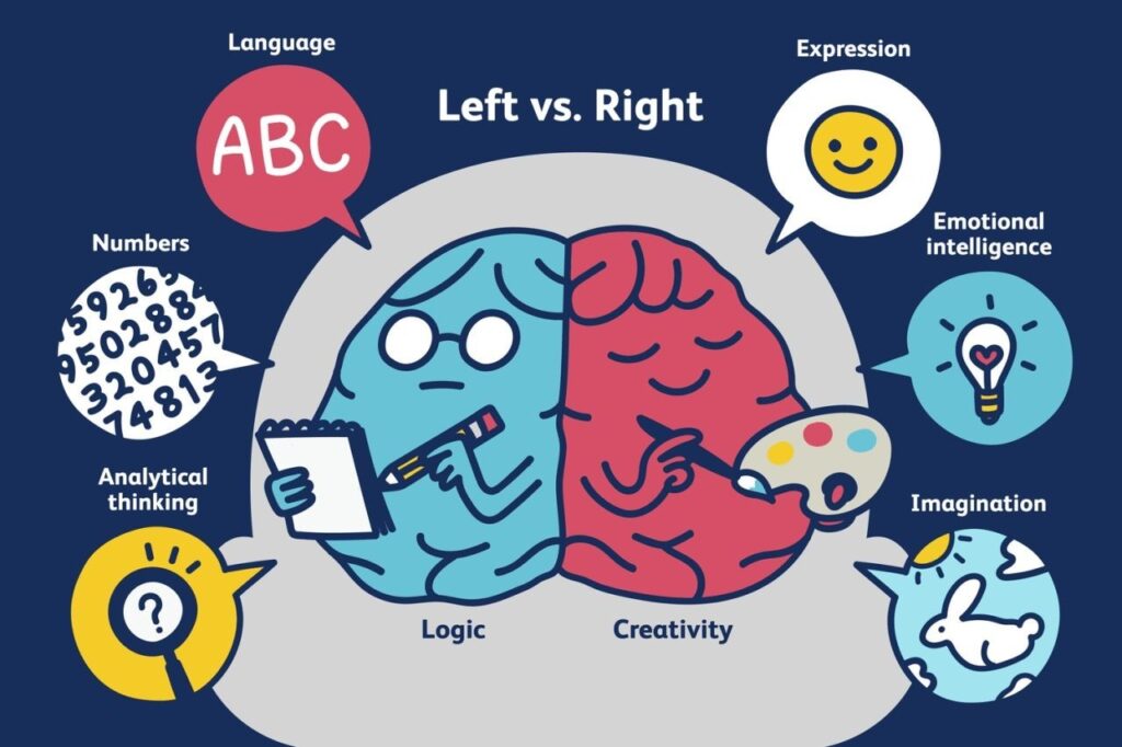 left-right-brain