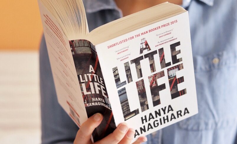 A Look into A Little Life A Not So Little Book