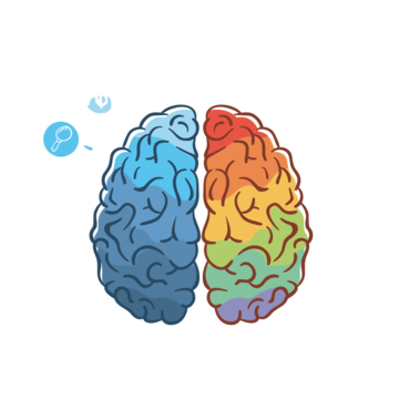 Left Brain vs. Right Brain – The One-Sided War